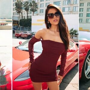 Mesh Ruched Burgundy Bodycon Long Sleeve Dress